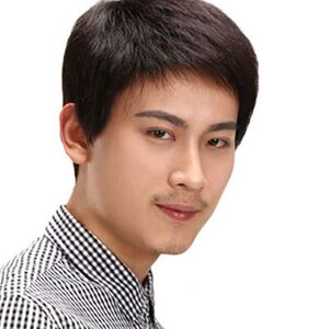 真发假发男短直发韩版帅气自然中年男士假发短发100%真人古装古风