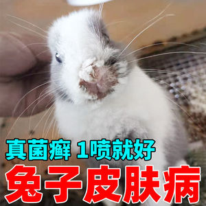 兔子皮肤病喷雾真菌兔癣红肿溃烂掉毛特效药耳螨结痂脚皮炎兔子药