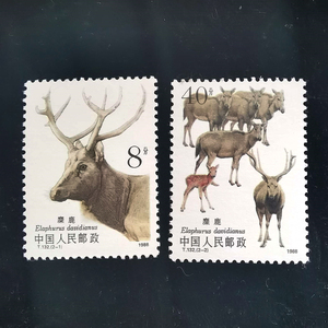 T132 麋鹿有齿邮票 1988年JT邮票 原胶全品全新保真 集邮 收藏