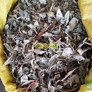 800人付款淘宝石甘子 500g 石蒲藤石柑子巴岩姜巴岩香 铁斑鸠 铁板草