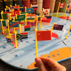 儿童木质世界地图插国旗拼图玩具幼儿园早教教具3-5-6-8岁男女孩