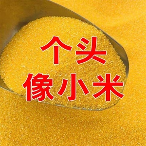 新大碴子玉米碎5斤玉米碴子黄玉米碴玉米糁玉米渣苞米糁玉米面粉