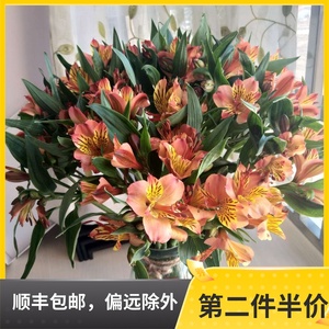 云南昆明基地直发水仙百合鲜花花束六出花批 发家用室内空运包邮