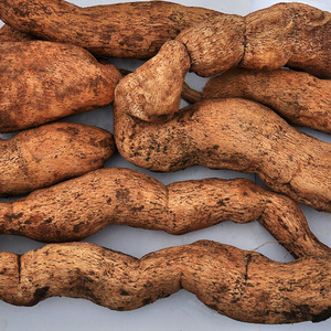 二郎山高山绿色生态食材土耳苕5斤/件