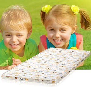 儿童天然椰棕床垫棕垫 环保棕榈床垫 单双人可定制 厚度5公分