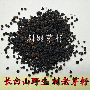 东北野生刺老芽籽 刺嫩芽籽 刺龙芽籽 野生刺嫩芽子 250克刺老芽