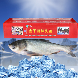 查干湖胖头鱼礼盒l400型提货卡券生鲜鱼类公司团购春节年货送礼品