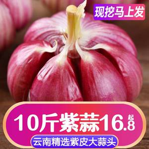 504人付款淘宝新鲜现挖甜菜根10斤甜菜头紫菜头红甜菜头3红心萝卜榨汁
