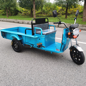 电动三轮车代步车摆摊小平板车新款家用电瓶三轮车货运拉货快递车