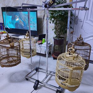 狮子王舵机淘宝自动遛鸟器,电动遛鸟器,画眉鸟,鸟秋千 遛鸟神器 生