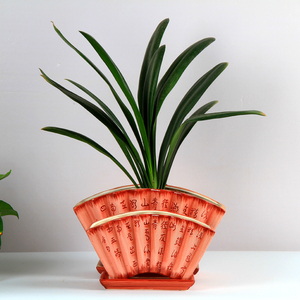 扇形花盆陶瓷花盆 君子兰长方形扇形陶瓷花盆 桌面盆栽花盆带托盘