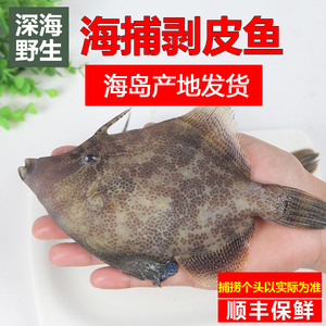 当码头 海捕海鲜 新鲜黑面剥皮鱼 宝宝辅食孕妇疗养营养海鱼1斤