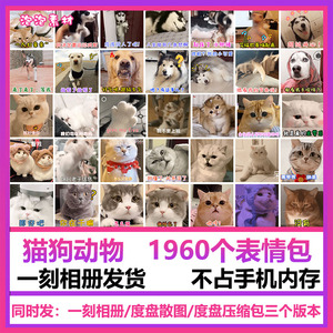 猫咪狗狗表情包精选微信动态可爱斗图gif动图合集素材一刻相册