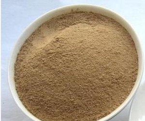 中药材百部粉百部酊防风粉百部草 百部中药百部粉500克包邮送勺子