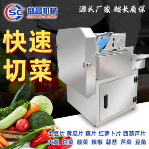 小型多功能电动切菜机商用韭菜葱花辣椒切段机自动豆角黄瓜切片机
