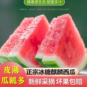 麒麟西瓜8424新鲜水果西瓜籽无薄皮爽口10斤甜瓜包甜应季现摘现发