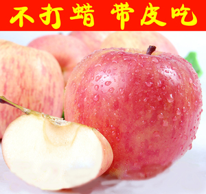【现摘现发】陕西大荔苹果百果王无打蜡新鲜5斤装红富士脆甜水果