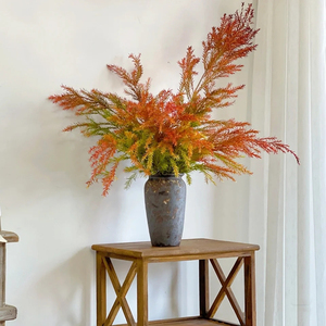 香松千层金黄金香柳 水养鲜切枝条鲜花速递同城 江浙沪皖2扎包邮