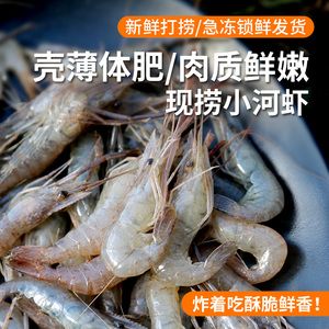 密农人家 新鲜河虾 每日现捞小虾米 紧实嫩滑 小虾米冷冻发货350g