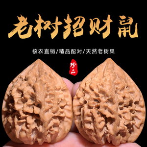 文玩核桃狮子头招财鼠野生小众精品特大收藏级手把玩件老树麻核桃