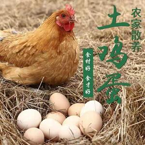 金寨县诗芸土特产经营部的小店正宗大别山农家散养土鸡蛋现捡现发