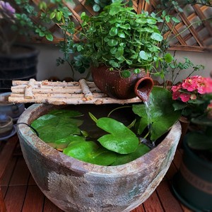 陶瓷大号土缸子农村老旧瓦缸做酱室外水缸家用储水如鱼得水长2072