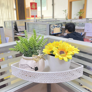 办公桌挂架收纳整理置物架盆栽桌面工位隔板绿箩花架办公用品文具