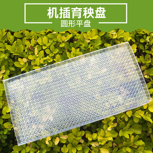 水稻插秧机秧盘