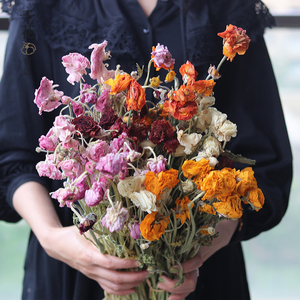 彩色洋牡丹干花风干真花软装配饰华裔搭配小清新文艺装饰小牡丹花