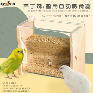 芦丁鸡喂食器自动食槽鹦鹉鸟用玄凤专用下料食盒食盆饲料饲养用品