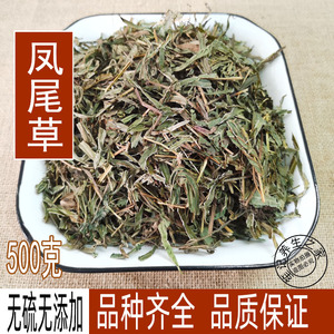 中药材凤尾草野生凤尾草凤尾七鸡爪草 阉鸡尾金鸡尾500克包邮