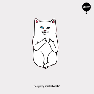 smokebomblab kids 儿童创意纹身贴纸 贱猫竖中指