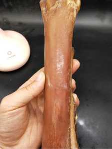 厂家直销骆驼骨棒骨满血蝌蚪纹腿骨手把件泡酒料高抛文玩制品佛珠