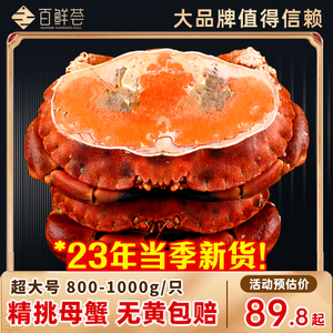 23年新货面包蟹熟冻超大黄金蟹特大鲜活冷冻螃蟹年夜饭海鲜礼盒