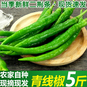 现摘新鲜二荆条青线椒辣椒当季新鲜蔬菜5斤农家自种青椒条子线椒