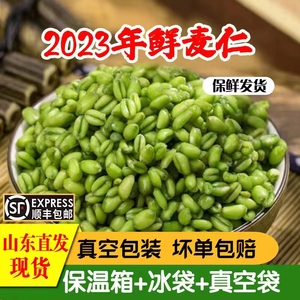 2023年新鲜青麦仁青麦粒麦穗辗转青小麦嫩麦籽杂粮去皮鲜麦仁