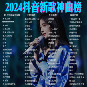 2024抖音新歌车载u盘歌曲高品质流行神曲榜单usb车用mp3音乐优盘