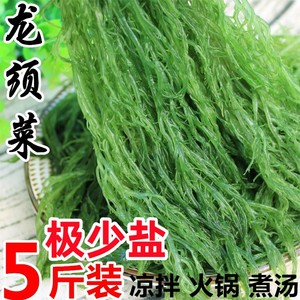 【极少盐】海草龙须菜5斤新鲜商用凉拌海藻菜海菜海石花菜凉拌菜