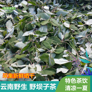 野坝子茶云南野生花草茶药材餐馆待客特色茶野坝子叶农家采摘晒干