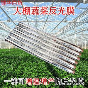 果园专用反光膜