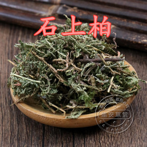 00舒补堂旗舰店天猫石柏中草药岩柏草 江南卷柏