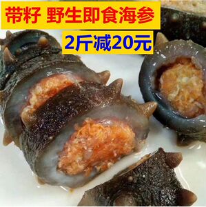 大连即食海参500g 冷冻水产辽刺带籽单个装7年野生深海底播长海县