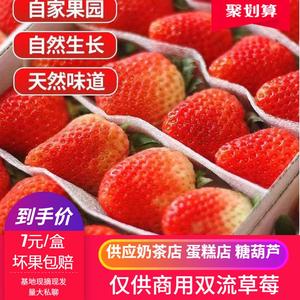 云南四季双流草莓新鲜商用草莓烘焙奶茶糖葫芦专用基地直发坏果赔