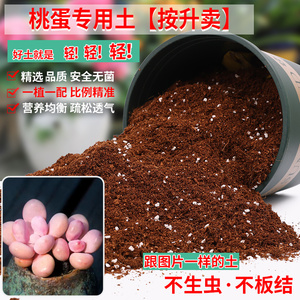 桃蛋专用土多肉肥料专用营养土花卉盆栽通用型椰糠泥炭腐殖颗粒土