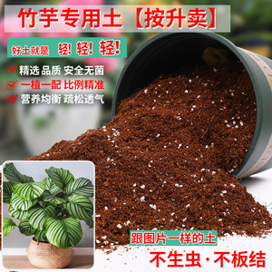 竹芋专用土植物营养泥土养花绿植土专用营养土花卉种植土花土肥料
