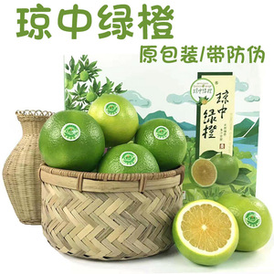 海南绿橙新鲜琼中