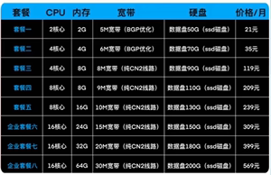 香港  云服务器 网站 网页 游戏 CN2纯正线路 物理机