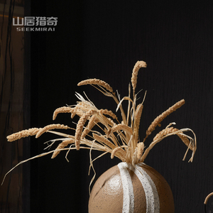 天然谷穗小米穗干花花束客餐厅桌面插花家居装饰花艺摆件拍照道具