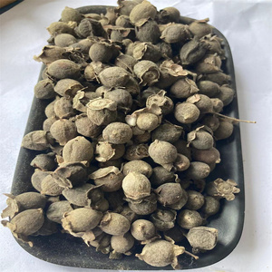 精选无硫山捻子干桃金娘干岗稔 岗捻子稔子干泡酒料500g包邮