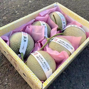 静冈夕张玫珑蜜瓜 5-8只装 爆甜 玫瓏口口蜜瓜 玫珑蜜瓜净重14斤